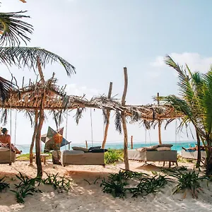 Ikal ***** Tulum