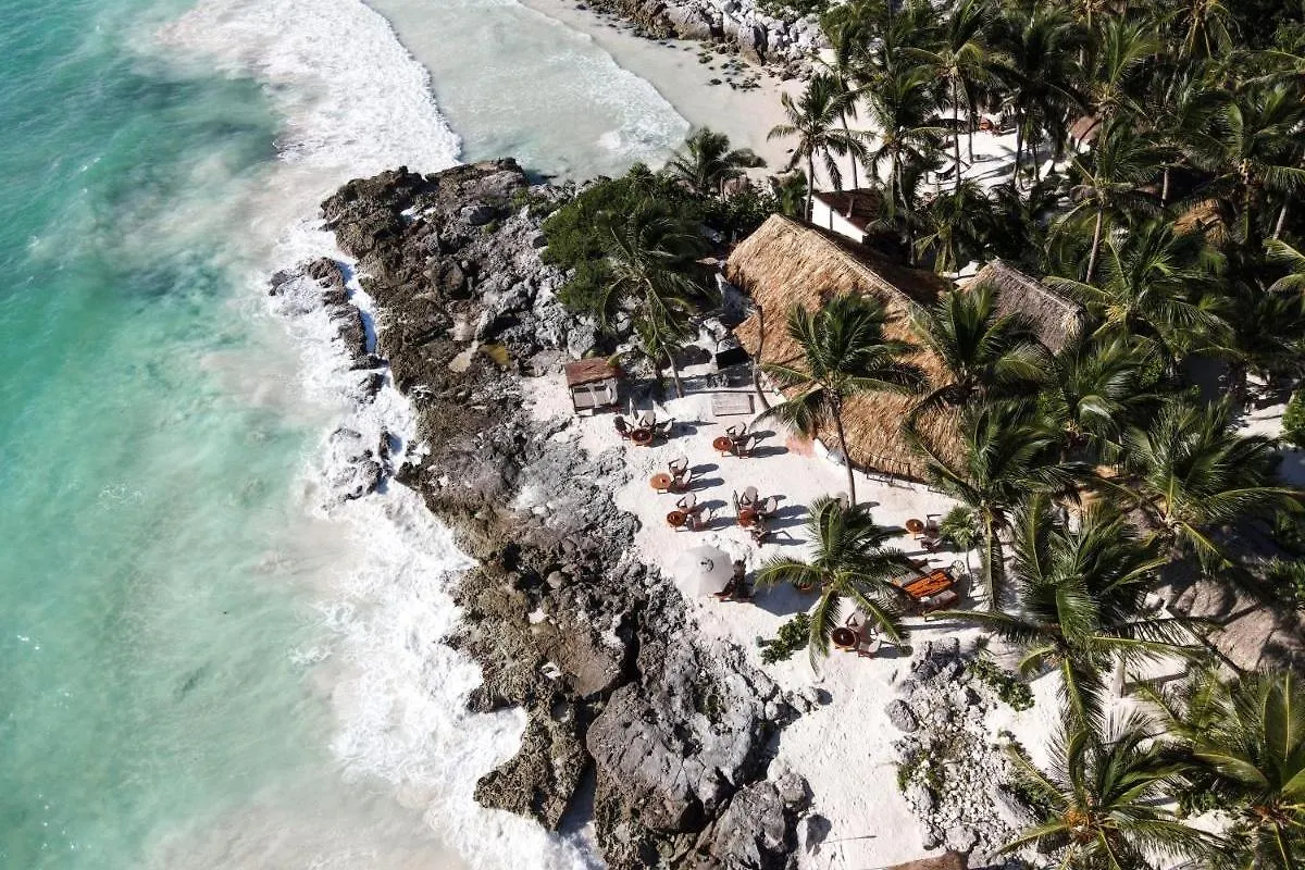 Hotel Diamante K - Inside Tulum National Park